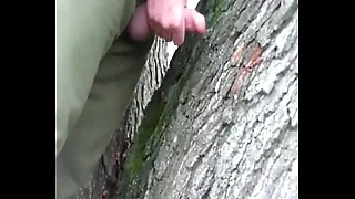 Gay Porn 1